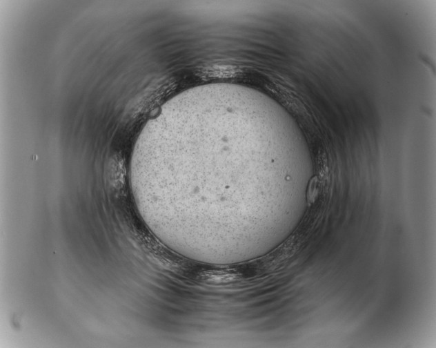 X0000102380555200808221804