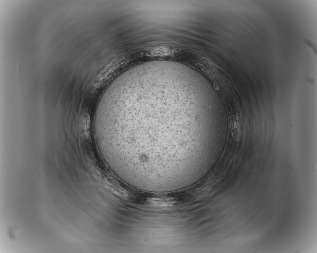 X0000102380556200808221804