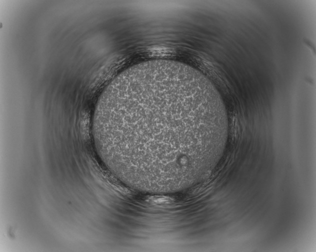 X0000102380557200808221804