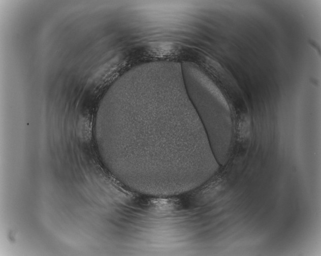 X0000102380558200808221804