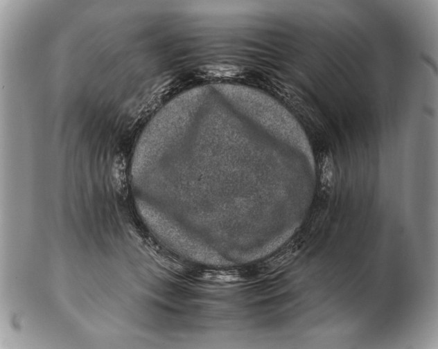 X0000102380559200808221804