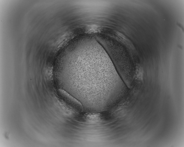 X0000102380560200808221804