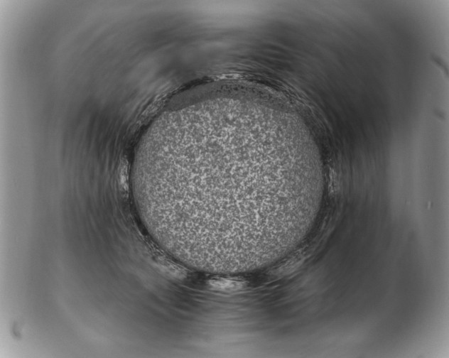 X0000102380561200808221804