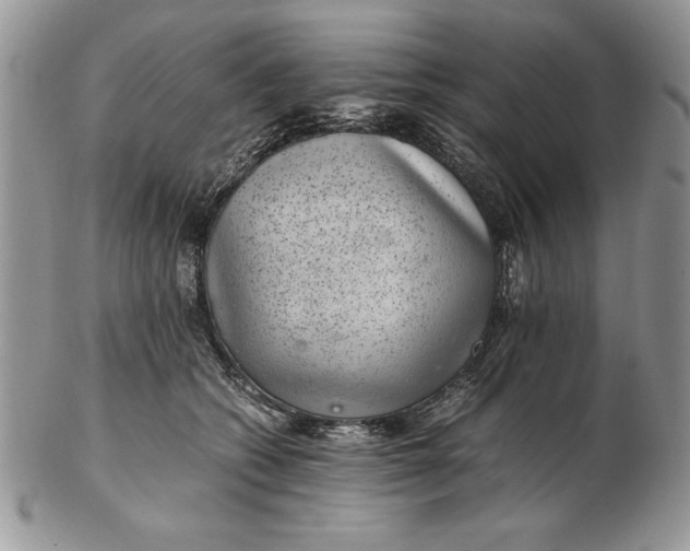 X0000102380562200808221804