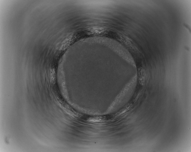 X0000102380563200808221804