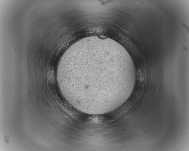 X0000102380564200808221804