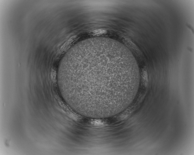 X0000102380565200808221804