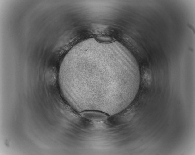 X0000102380566200808221804