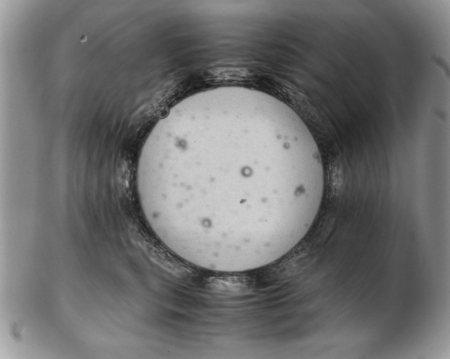 X0000102380567200808221805