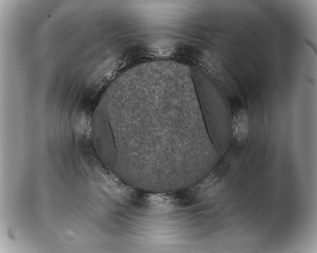 X0000102380568200808221805