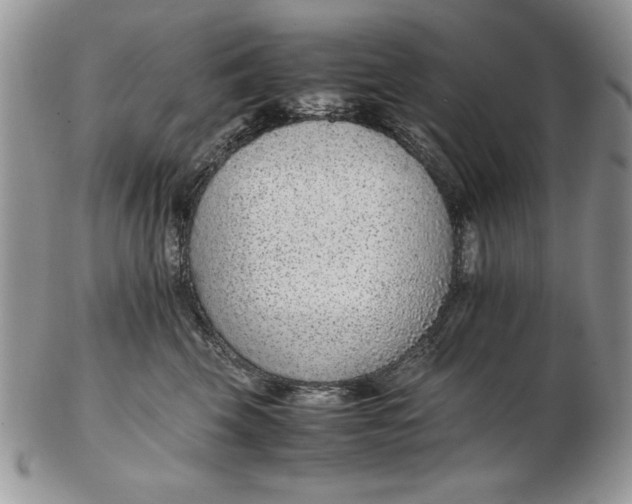 X0000102380569200808221805