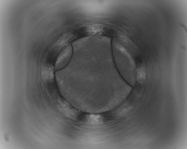 X0000102380570200808221805