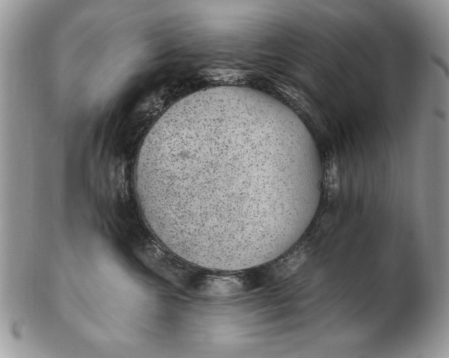 X0000102380572200808221805