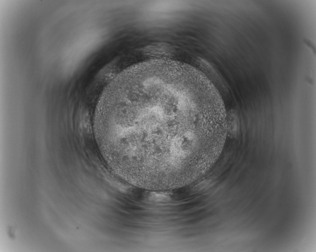 X0000102380573200808221805