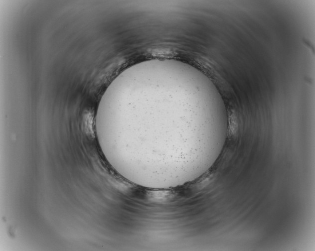 X0000102380575200808221805