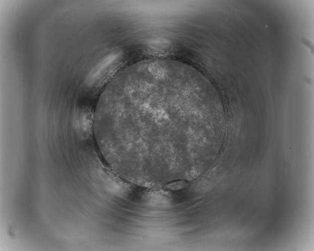 X0000102380576200808221805