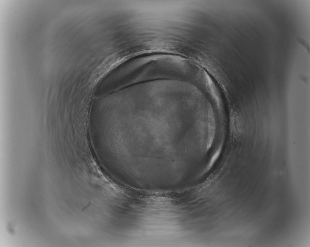 X0000102380577200808221804