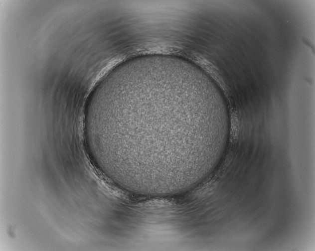 X0000102380578200808221804