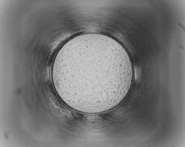 X0000102380579200808221804