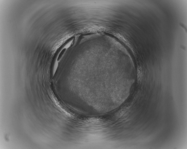 X0000102380581200808221804