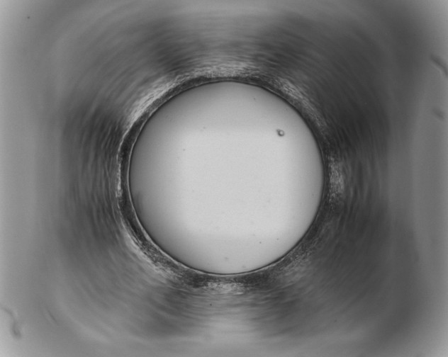 X0000102380582200808221804