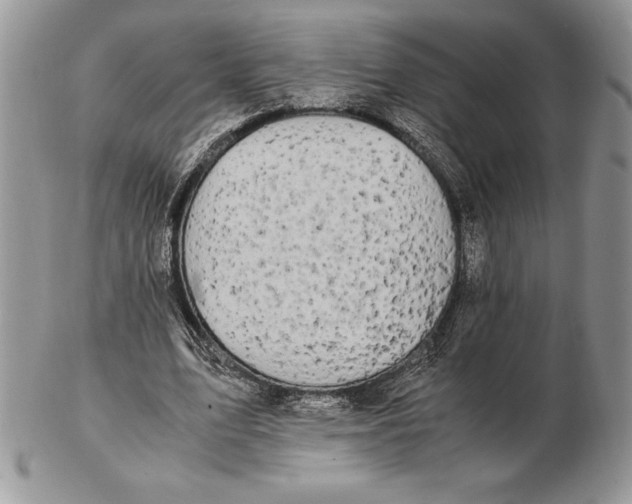 X0000102380583200808221804