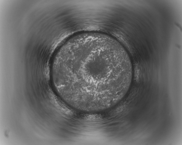 X0000102380584200808221804