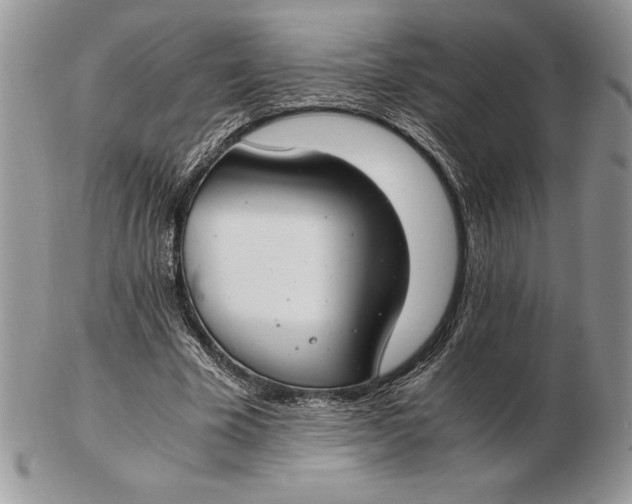 X0000102380585200808221804