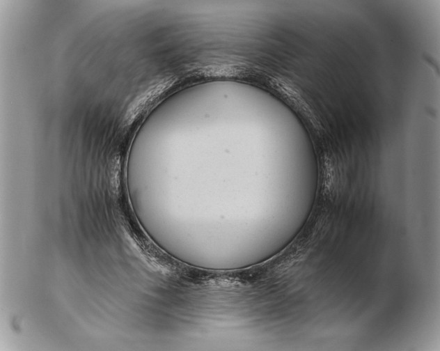 X0000102380586200808221804