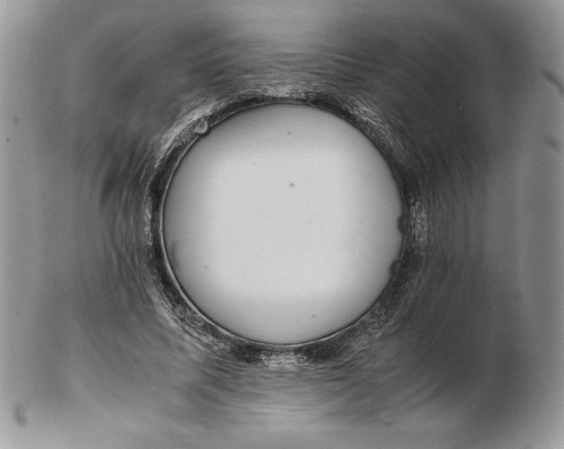 X0000102380587200808221804