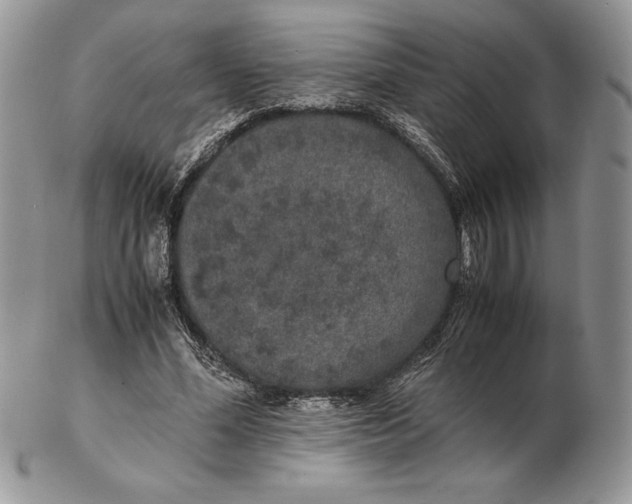 X0000102380588200808221804