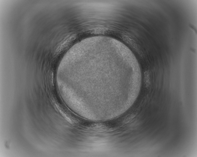 X0000102380589200808221804