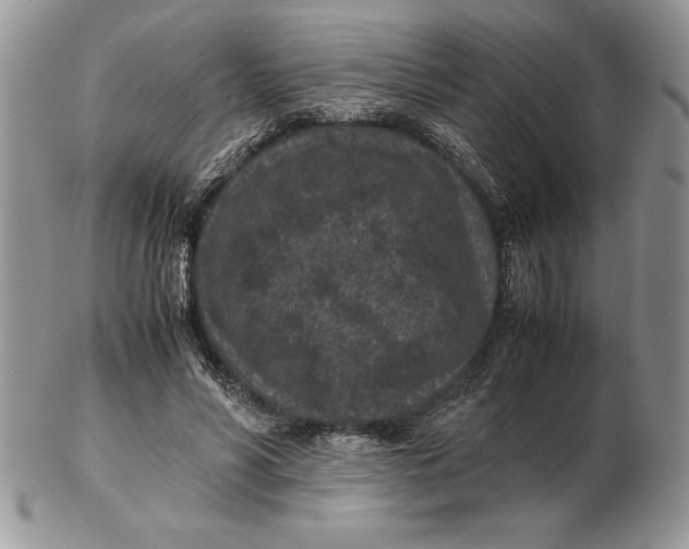 X0000102380590200808221804