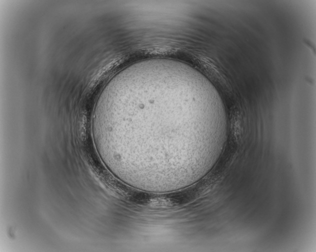 X0000102380591200808221804