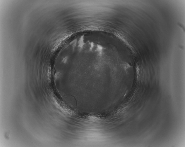 X0000102380592200808221804