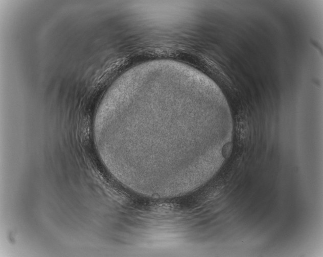 X0000102380593200808221804