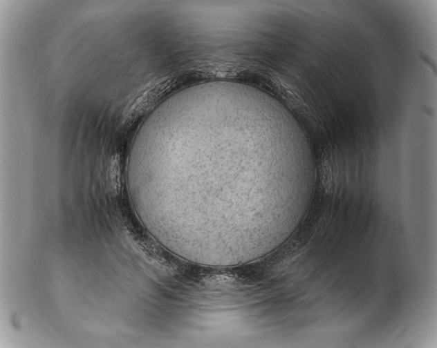 X0000102380594200808221804