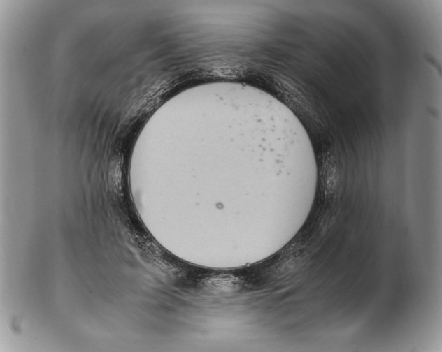 X0000102380595200808221804