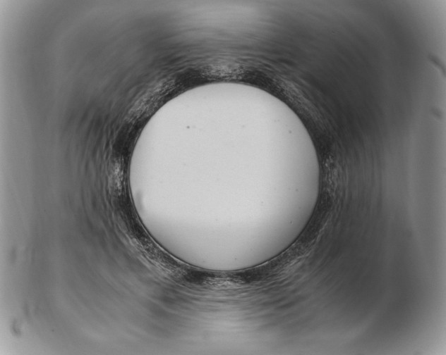 X0000102380597200808221804