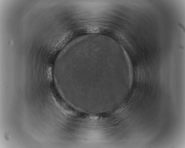 X0000102380598200808221804