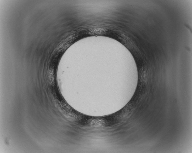 X0000102380599200808221804