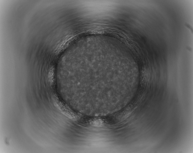 X0000102380600200808221804