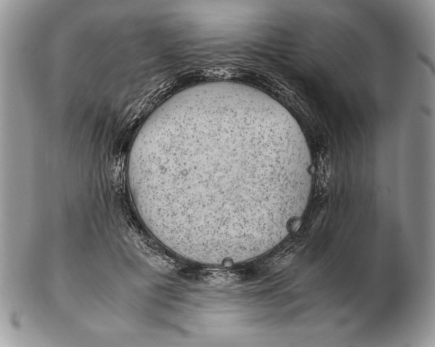 X0000102380601200808221804