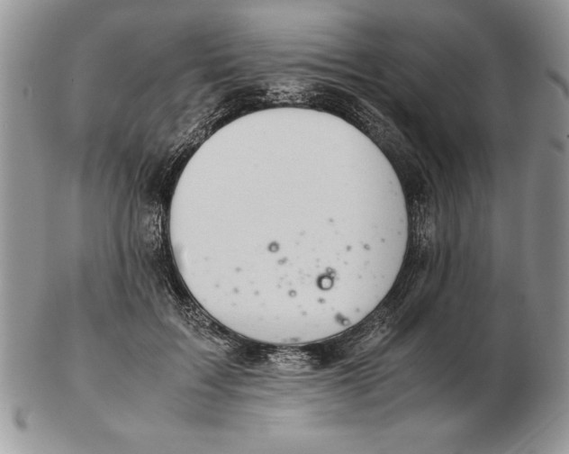 X0000102380603200808221804