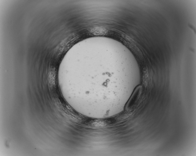 X0000102380604200808221804