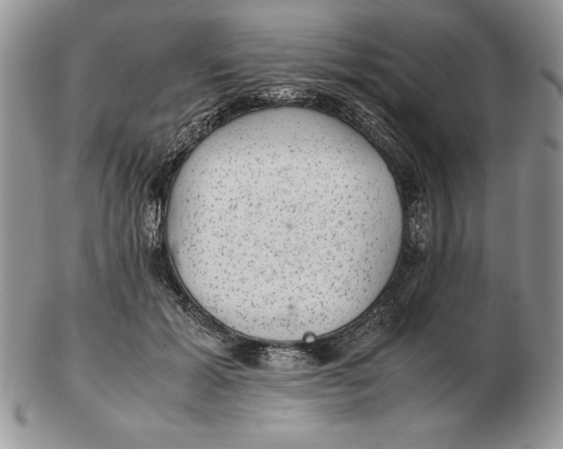 X0000102380605200808221804