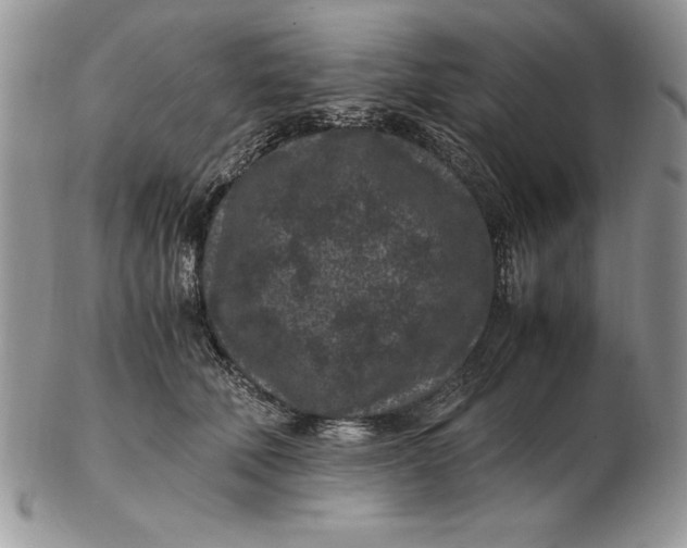 X0000102380610200808221803