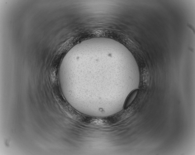 X0000102380611200808221803