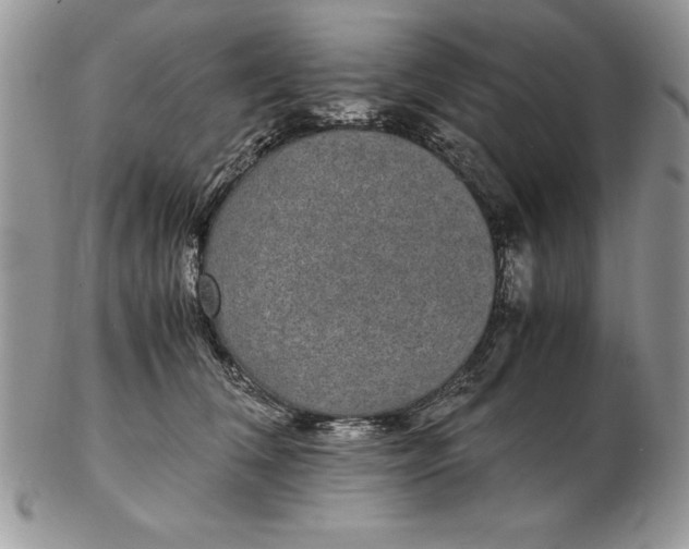 X0000102380612200808221803