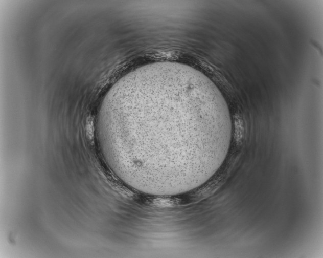 X0000102380613200808221803